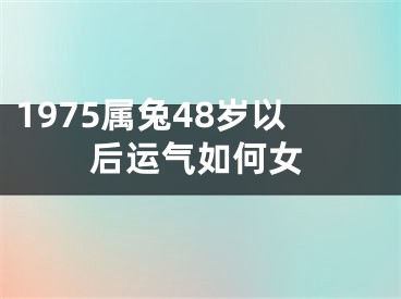 1975属兔48岁以后运气如何女