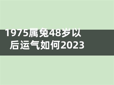 1975属兔48岁以后运气如何2023