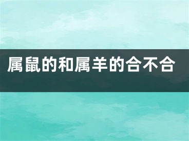 属鼠的和属羊的合不合