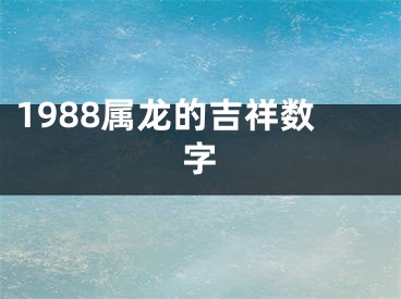 1988属龙的吉祥数字