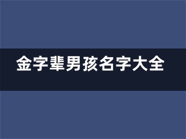 金字辈男孩名字大全