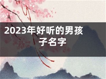 2023年好听的男孩子名字