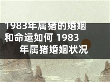 1983年属猪的婚姻和命运如何 1983年属猪婚姻状况