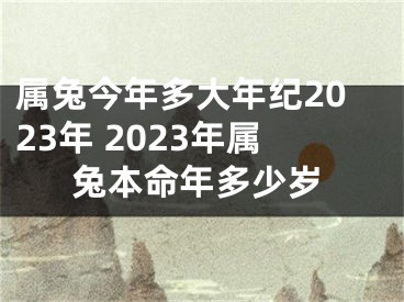 属兔今年多大年纪2023年 2023年属兔本命年多少岁