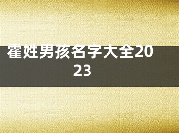 霍姓男孩名字大全2023