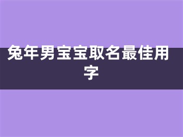 兔年男宝宝取名最佳用字