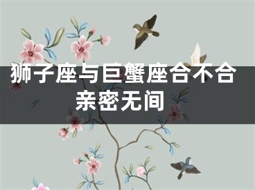 狮子座与巨蟹座合不合 亲密无间