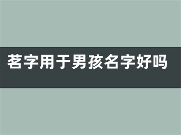 茗字用于男孩名字好吗