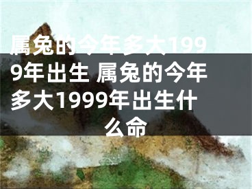 属兔的今年多大1999年出生 属兔的今年多大1999年出生什么命