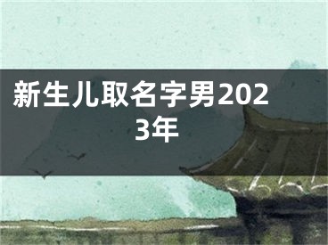 新生儿取名字男2023年