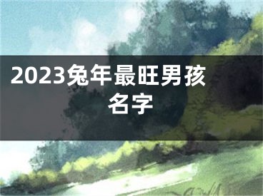 2023兔年最旺男孩名字