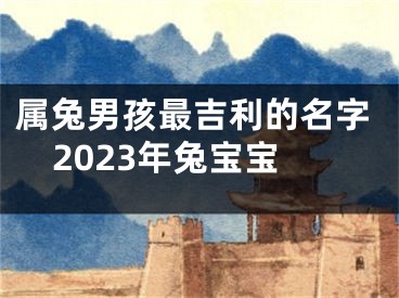 属兔男孩最吉利的名字2023年兔宝宝