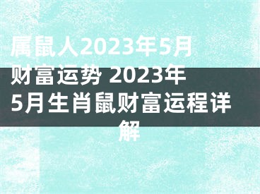 属鼠人2023年5月财富运势 2023年5月生肖鼠财富运程详解