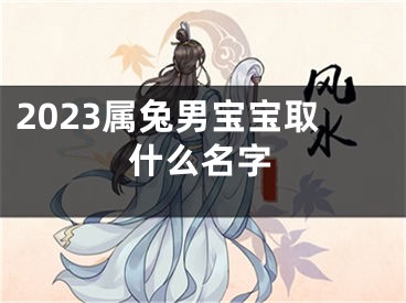 2023属兔男宝宝取什么名字