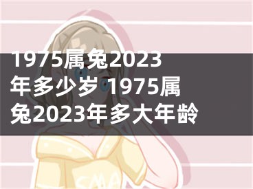 1975属兔2023年多少岁 1975属兔2023年多大年龄