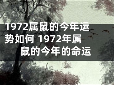 1972属鼠的今年运势如何 1972年属鼠的今年的命运