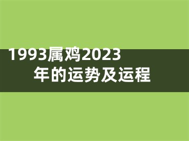 1993属鸡2023年的运势及运程