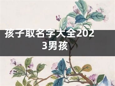 孩子取名字大全2023男孩