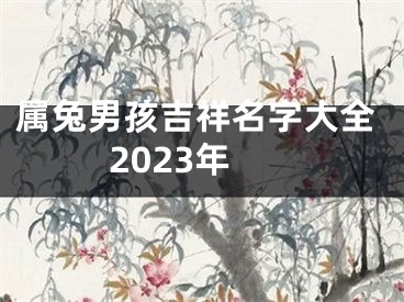 属兔男孩吉祥名字大全2023年