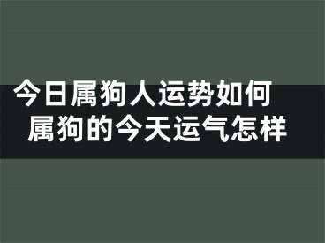 今日属狗人运势如何 属狗的今天运气怎样