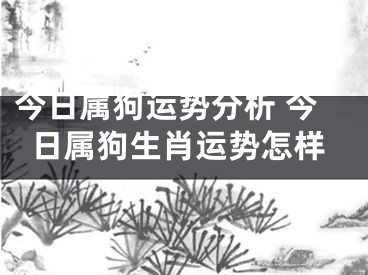 今日属狗运势分析 今日属狗生肖运势怎样