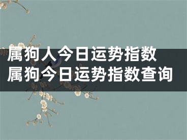 属狗人今日运势指数 属狗今日运势指数查询