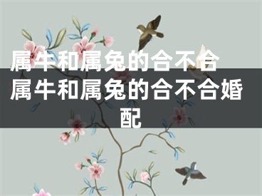 属牛和属兔的合不合 属牛和属兔的合不合婚配