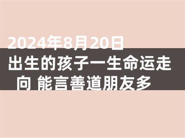 2024年8月20日出生的孩子一生命运走向 能言善道朋友多