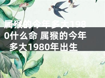 属猴的今年多大1980什么命 属猴的今年多大1980年出生