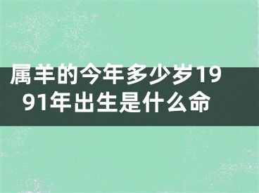 属羊的今年多少岁1991年出生是什么命