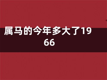 属马的今年多大了1966