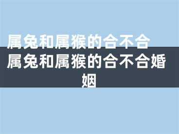 属兔和属猴的合不合 属兔和属猴的合不合婚姻