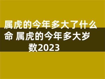 属虎的今年多大了什么命 属虎的今年多大岁数2023