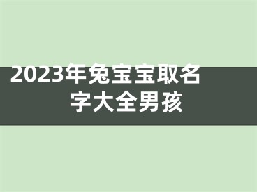 2023年兔宝宝取名字大全男孩