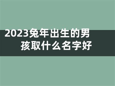 2023兔年出生的男孩取什么名字好