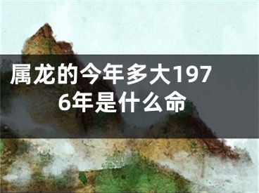 属龙的今年多大1976年是什么命