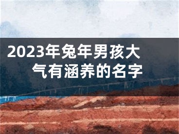 2023年兔年男孩大气有涵养的名字