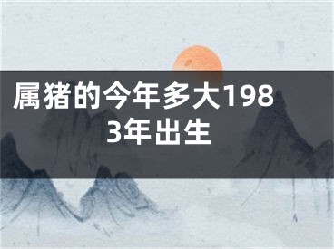 属猪的今年多大1983年出生