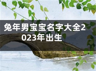 兔年男宝宝名字大全2023年出生