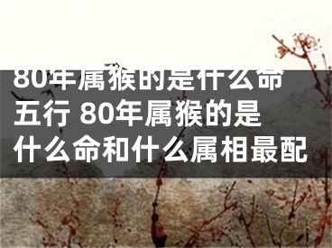 80年属猴的是什么命五行 80年属猴的是什么命和什么属相最配