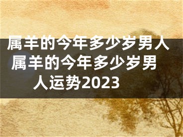 属羊的今年多少岁男人 属羊的今年多少岁男人运势2023