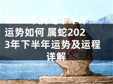 2023年属蛇下半年运势如何 属蛇2023年下半年运势及运程详解