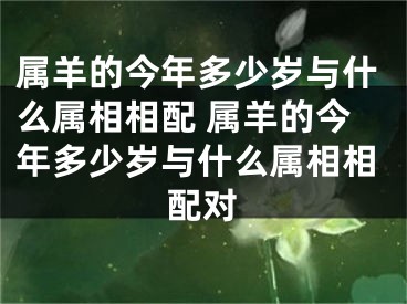 属羊的今年多少岁与什么属相相配 属羊的今年多少岁与什么属相相配对