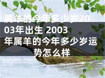 属羊的今年多少岁2003年出生 2003年属羊的今年多少岁运势怎么样