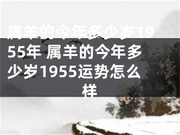 属羊的今年多少岁1955年 属羊的今年多少岁1955运势怎么样