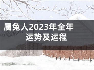 属兔人2023年全年运势及运程