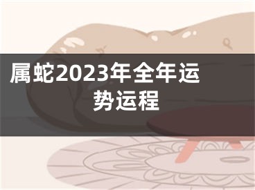 属蛇2023年全年运势运程