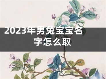 2023年男兔宝宝名字怎么取