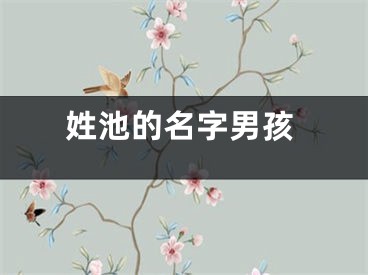 姓池的名字男孩