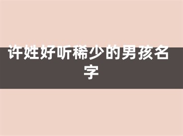 许姓好听稀少的男孩名字